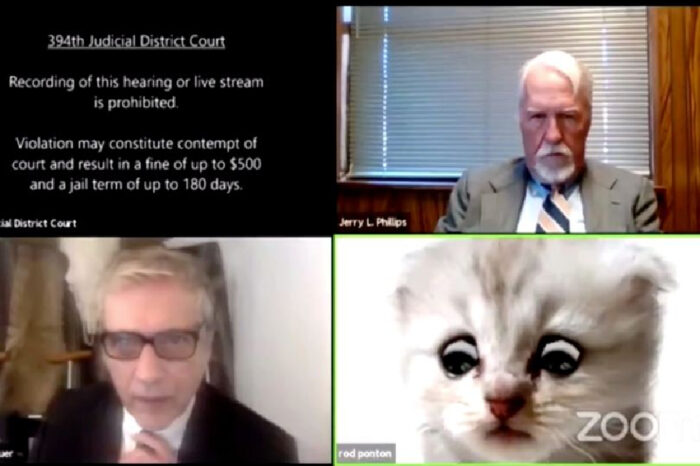 Peguam Tak Sengaja Guna Imej ‘Kucing Sedih’ Di Zoom Semasa Perbicaraan Mahkamah